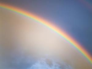shutterstock_2470325587_rainbow_varavīksne.jpg