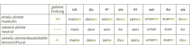 YCUZD_240212_6026_Possesivpronomen_3.png