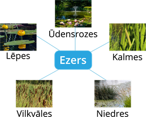 YCUZD_250730_7453_ezers.png