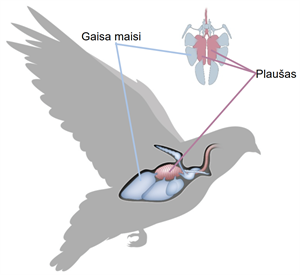 Screenshot 2026-03-09 142748.png