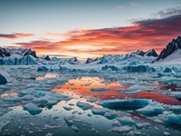 shutterstock_2402623605_climate change_klimata pārmaiņas.jpg