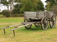 shutterstock_99576731_horse drawn cart_zirga rati.jpg