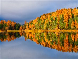 shutterstock_2675543041_Lake and autumn forest_Ezers un mežs rudenī.jpg