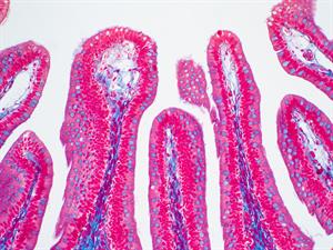 shutterstock1618675603 (1).jpg