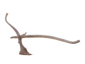 shutterstock_2075461894_ancient plough_senais arkls.jpg