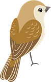 YCUZD_230709_5338_picture__der Vogel.png