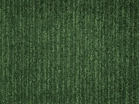 shutterstock_2710435271_carpet texture_paklāja tekstūra.jpg