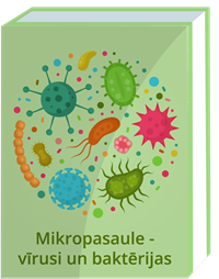 YCUZD_240223_6054_Mikropasaule - vīrusi un baktērijas.png
