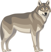 YCUZD_230709_5338_picture__16.png