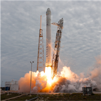 kosmosakugis2 Asset 22.png