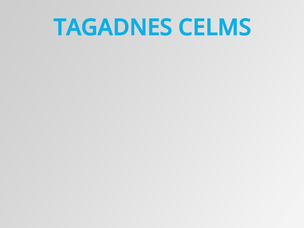 YCUZD_250327_gif_tagadnes celms.gif