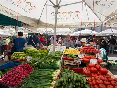 Alberto Loyo Shutterstock.jpg