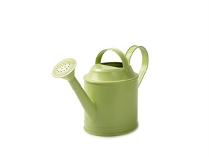 shutterstock_2357694231_metal watering can_metāliska lejkanna (1).jpg