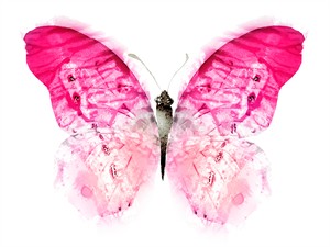 shutterstock_1960466665_butterfly in watercolor_tauriņš ar ūdens krāsām.jpg