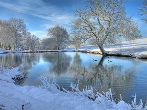 shutterstock_60052582_pond in winter_dīķis ziemā.jpg