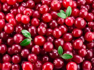 Shutterstock_267081527_cranberries_dzērvenes.jpg