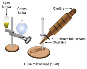 YCUZD_261020_6780_huka_mikroskops.png