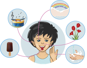 Органы чувств человека.png