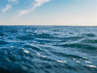 shutterstock_1890661699_waves_viļņi.jpg