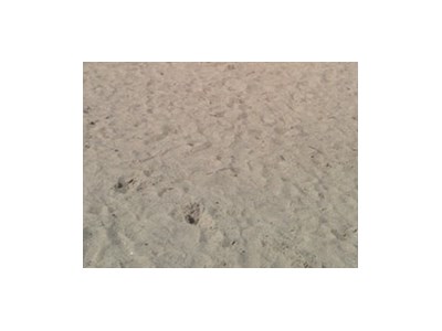 Markuss Alekss Žukovs