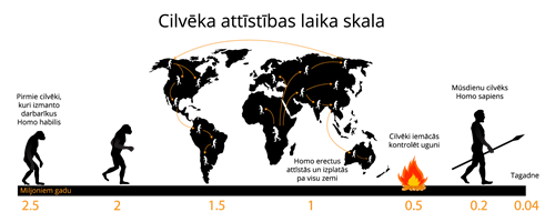 Cilvēku attīstības laika skala.png
