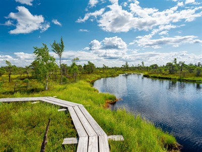 Shutterstock_2452618853_Kemeri bog_Ķemeru purvs.jpg