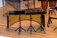 PIXABAY_joanjocastello-music-4760794_marimba.jpg