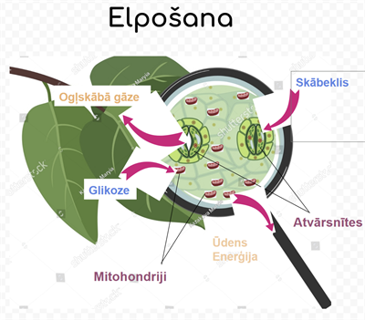 Screenshot 2026-03-12 113734.png