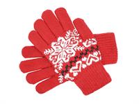 Shutterstock_1627793848_gloves_cimdi (1).jpg