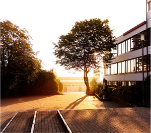 школа Asset 4.png