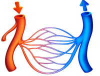 YCUZD_230116_4947_asinsrites sistēma.png