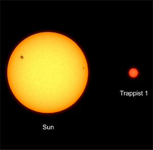 pundurzvaigznes Asset 14.png