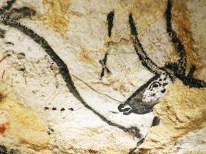 spatuletail Shutterstock_petroglyphs lascaux_petroglifi Lasko alā.jpg