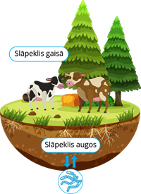 YCUZD_220816_4273_slāpeklis gaisā un augos.png