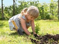 shutterstock_2468685153_planting_stādīt.jpg
