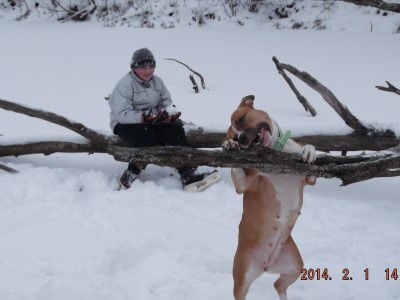 Mārtiņš Ernests Ķīvitis