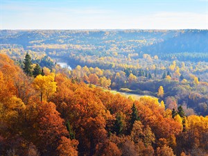 shutterstock_1726363573_Gauja national park in autumn_Gaujas nacionālais parks rudenī.jpg