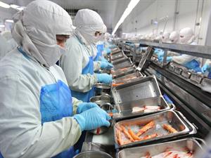 Ai Han Shutterstock.jpg