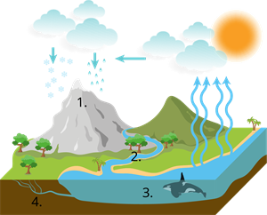 YCUZD_220721_4092_cirkulācija ar cipariem.png