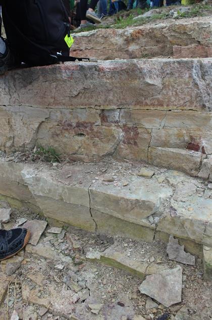 WhatsApp Image 2020-10-06 at 17.11.37.jpeg