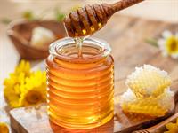 Shutterstock_2473679695_honey_medus.jpg