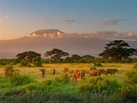 Shutterstock_1766609975_mountain Kilimanjaro_Kilimandžaro kalns.jpg
