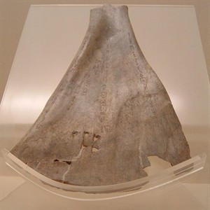 WIKI_20260807_Orakelknochen.JPG