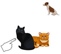 cats and dog.png