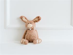 shutterstock_1198156384_plush bunny_plīša zaķis.jpg
