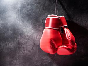Shutterstock_1459778897_boxing gloves_boksa cimdi.jpg