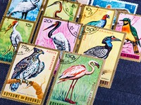 shutterstock_2637187429_postage stamps_pastmarkas.jpg