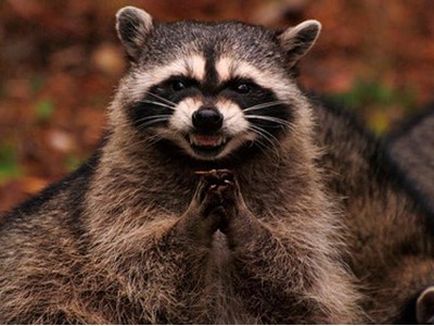 Aleksandra Saveļjeva