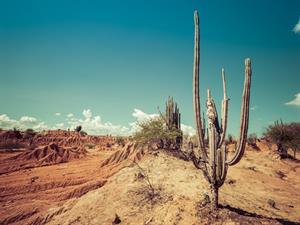 Shutterstock_360414674_desert_tuksnesis.jpg