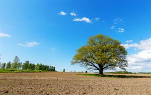 Latvijas ainava 2.jpg